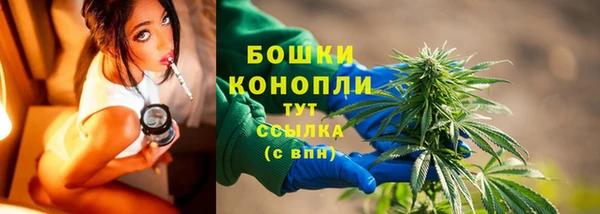 сатива Балахна