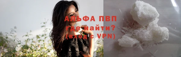 сатива Балахна