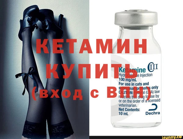 сатива Балахна