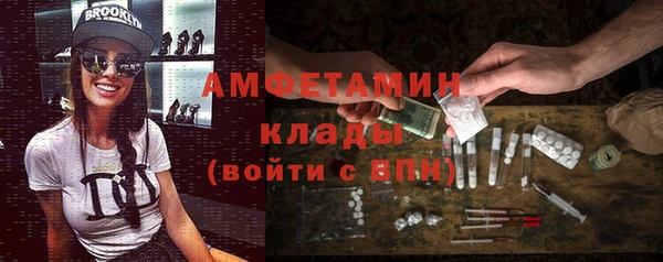 сатива Балахна