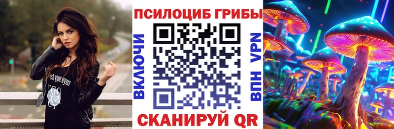 купить наркотик Озёры Псилоцибиновые грибы мицелий